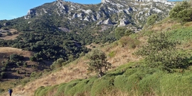 Día 25 Cubilla de la Sierra – Peña El Buey (1.230 m) – La Verdina (1.352 m) – Monte Cimero (1.348 m) – Cantoña (1.353 m) – Peña Maya (1.309 m) – Miraveche (mañanera)